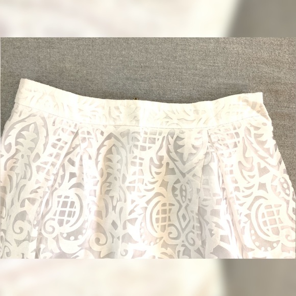 ASOS Lace Burnout Midi Skirt - Picture 3 of 4